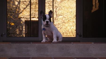 On va se promener?