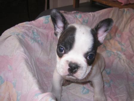 Trop craquant!