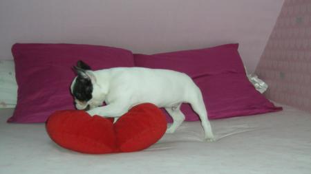 Le lit!