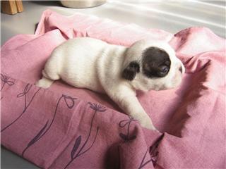 Toujours moi bébé!