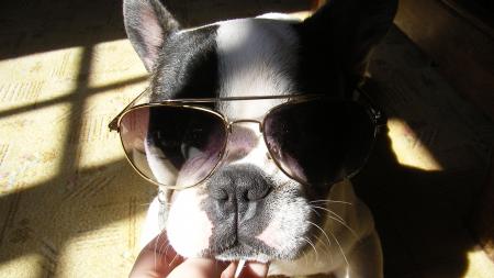 Fashion victime!