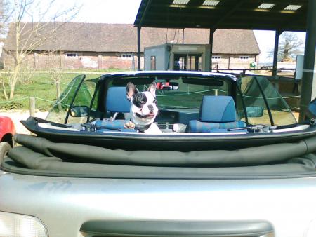 Un petit tour en cabriolet dans la voiture de maman!!