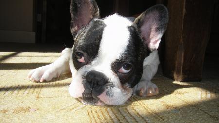 La fatigue!