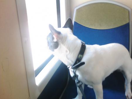 Un petit tour dans le train