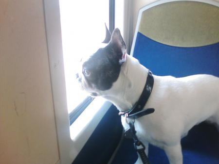 Dans le train