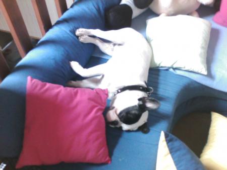 Quelle fatigue!