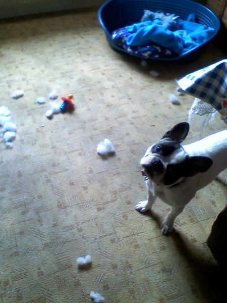 ba quoi?